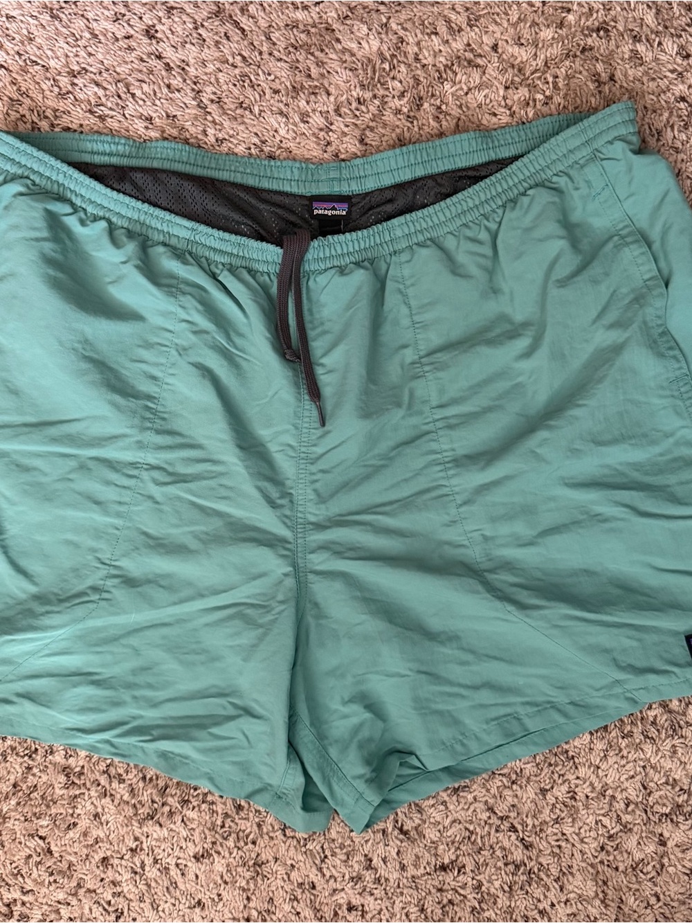 Patagonia Men’s Teal-Green Shorts